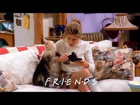 Rachel Loses Marcel the Monkey