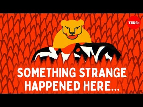 Can you figure out the savanna mystery? - Cella Wright