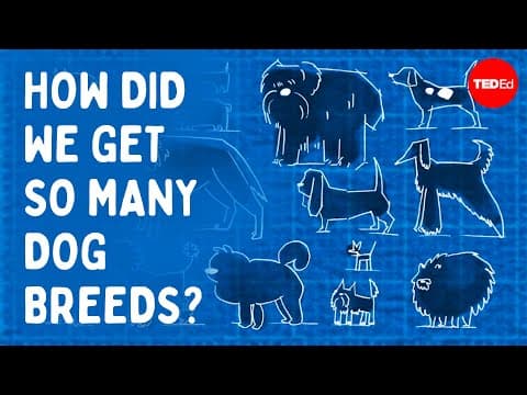 Why Are There So Many Different Kinds of Dogs? - Kathleen Morrill Pirovich